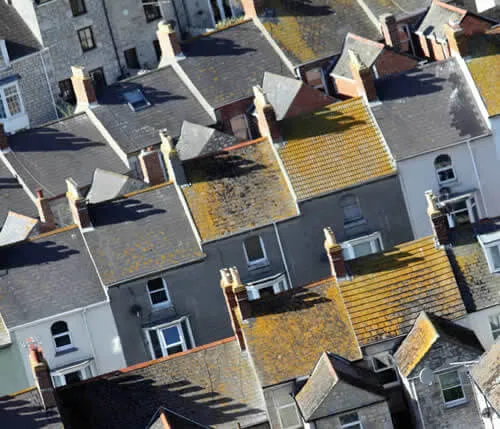 chimney sweeping cost